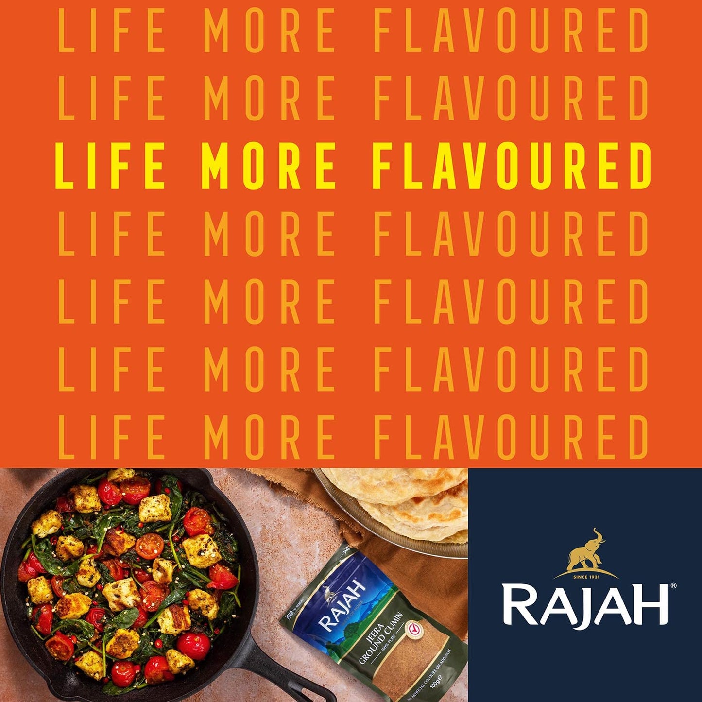 Rajah Tandoori Masala 100 gms - Indian Spices