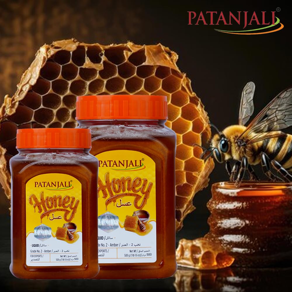 PATANJALI Honey 500G - Food / Masala / Dal