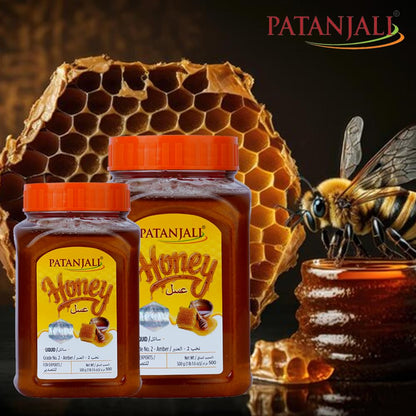 PATANJALI Honey 500G - Food / Masala / Dal