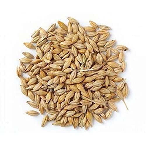 Classic Barley (Jav) Whole 4 oz (100g) ~ All Natural | Vegan | NON-GMO | Indian Origin