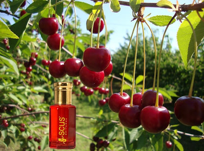Cherry Fragrance for Men & Women Floral Fruity Concentrated Perfume oil Long Lasting Fragrance Non-Alcoholic (Parfum 12ml with Velvet Pouch)
