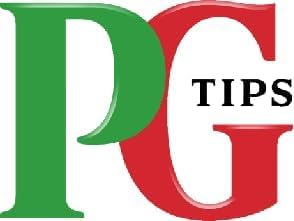 Pg Tips Original Pyramid Bags 240 bags