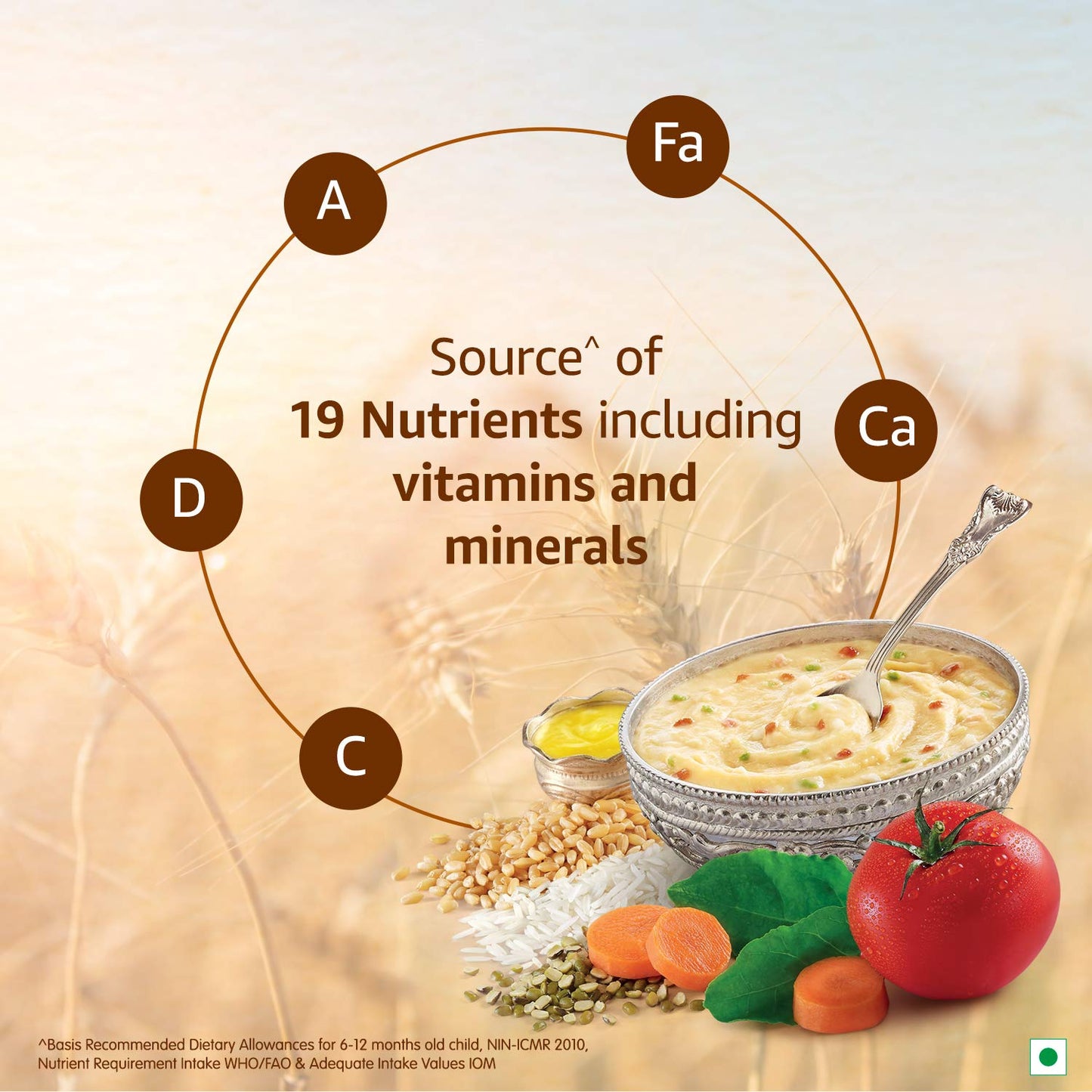 Nestle CERELAC- Khichdi with vegetables & Ghee 300 gms - Baby Products