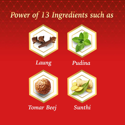 Dabur Red Paste Ayurvedic Toothpaste 600 gm