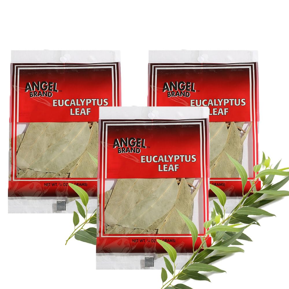 Eucalyptus (3 PACKS)