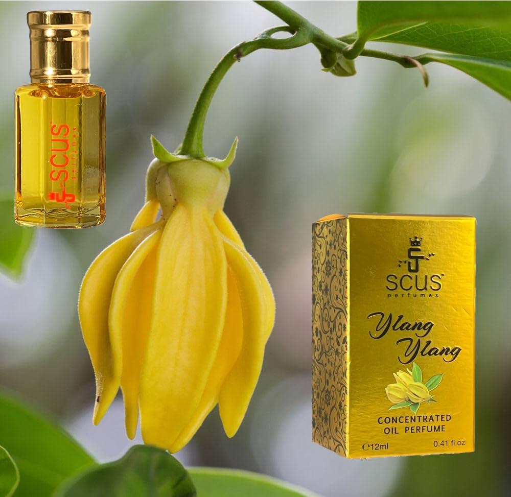 Ylang Ylang 12 ML Concentrated Fragrance