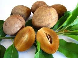 Fresh Sapodilla (Nispero) 3lb