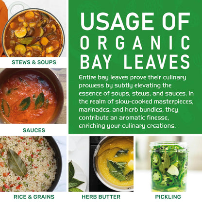 Jiva Organic Bay Leaves Whole 8 Ounce Bulk Bag