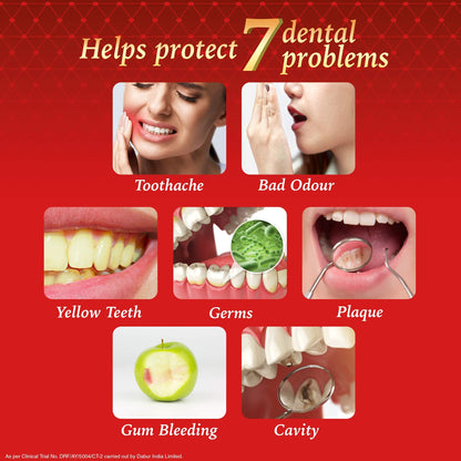 Dabur Red Paste Ayurvedic Toothpaste 600 gm
