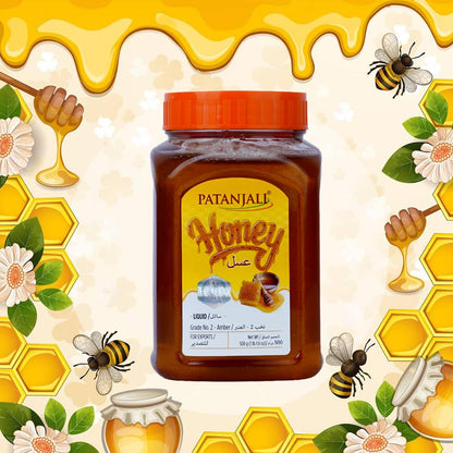 PATANJALI Honey 500G - Food / Masala / Dal
