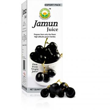 Basic Ayurveda Jamun Herbal Juice 480ml - Mahaekart LLC