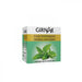 Girnar Cool Peppermint Herbal Infusion - Mahaekart LLC