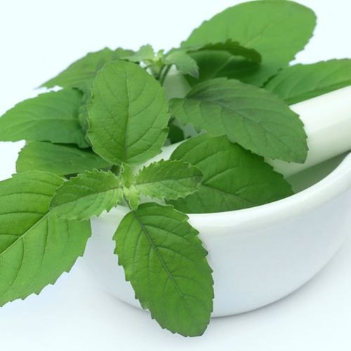 Tulsi Leaves 100 g