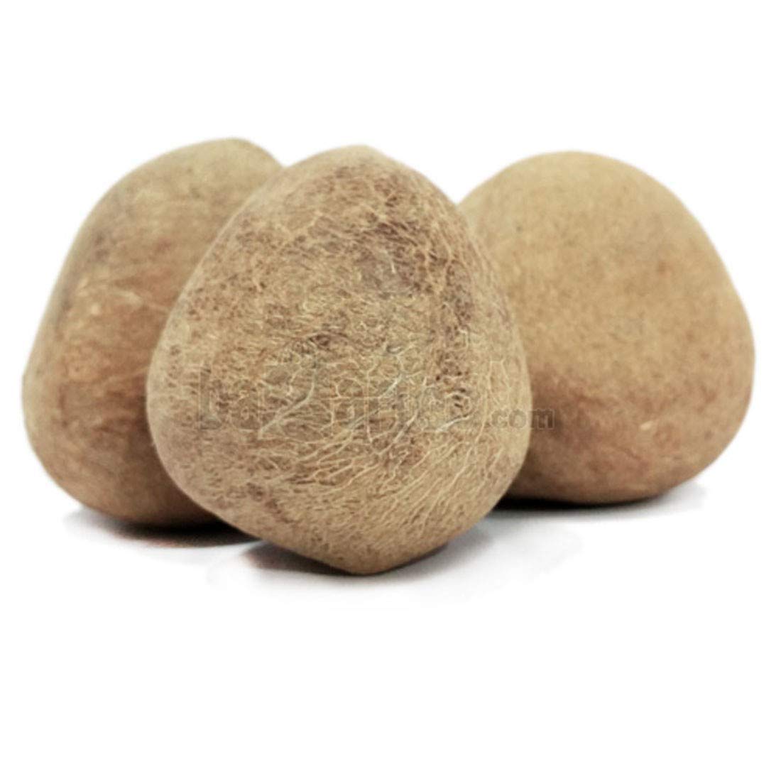 Whole Dry Coconut Each - Food / Masala / Dal