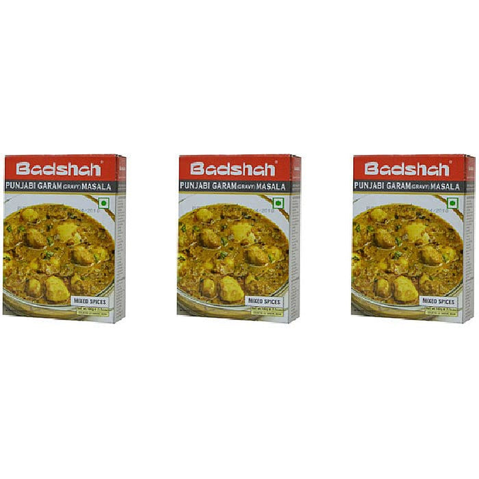 Pack Of 3 - Badshah Punjabi Garam Gravy Masala - 3.5 Oz