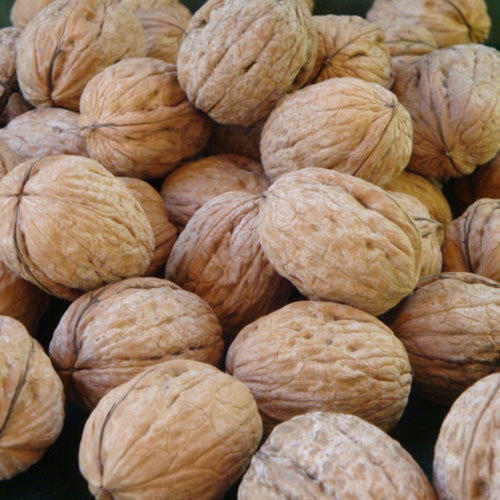 Walnuts 14 Oz